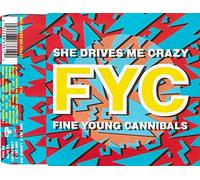 Fine Young Cannibals - She Drives Me Crazy