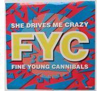Fine Young Cannibals - She Drives Me Crazy