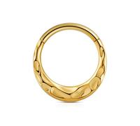 FINE4U ASTM F136 Titanium Nose Ring Hoop 16G 8mm 10mm for Daith, Septum, Cartilage Earring, 16G(1.2mm), 3/8"(10mm), Titanium, cubic zirconia