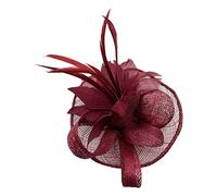 Finecy In NEW Women Small Flower Feather Fascinator Brooch Clip Party Royal Ascot Wedding Race Wine