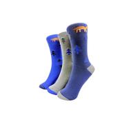 Finecy In Women’s Colourful Gift Box Bamboo Socks - 3 Pairs Cute Patterned Socks in Box - Animal, Fruit & Floral Designs - Gift for Her, Birthday, Christmas or Mother’s Day (Dinosaurs)