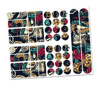 Finest Folia 34 Piece Bicycle Frame Protective Film Sticker Protection MTB BMX Chain Paint Protection Film (23 Skulls and Snakes)