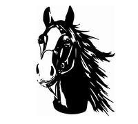 Finest Folia K039 Car Sticker Trailer Truck Horses Car Sticker Horse Car Sticker Decal Sticker Animal Black Gloss 30x21cm