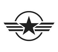 Finest Folia Set of 2 Car Stickers, Army Star Sticker Film for Car, Motorcycle, Trailer, Sticker US Star Motif 4, Self-Adhesive Weatherproof Car Accessories (Matte Black, 10 x 10 cm K171)