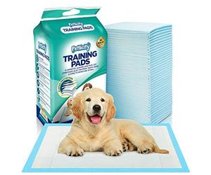 FiNeWaY@ SUPER ABSORBENT PUPPY TRAINER TRAINING PADS TOILET PEE WEE MATS DOG CAT (SMALL (60 X 45CM), PACK OF 50)