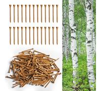 FINGER TEN Golf Tees Birch From Western 3 1/4 2 3/4 Inch Wooden Bulk Value 100 Count, More Durable Premium Quality Long Tee 70mm 83mm, Gift for Men Women Driving Range (Khaki, 2 3/4 Inch (70mm))