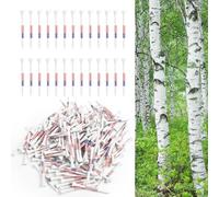 FINGER TEN Golf Tees Birch From Western 3 1/4 2 3/4 Inch Wooden Bulk Value 100 Count, More Durable Premium Quality Long Tee 70mm 83mm, Gift for Men Women Driving Range (White,2 3/4 Inch (70mm))