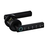 Fingerprint Door Lock 4-in-1 Silver 2.36in