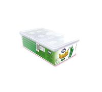 FINI Apple Candy Pencils | Fruit Flavour Candy | 100 piece tub
