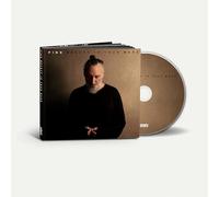 FINK - BEAUTY IN YOUR WAKE