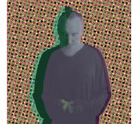 FINK - BEAUTY IN YOUR WAKE ACOUSTIC