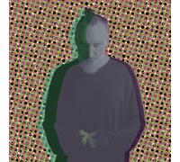 Fink : Beauty in Your Wake (Acoustic) VINYL 12" Album (2025) NEW