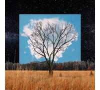 Fink Bloom Innocent (Vinyl) 12" Album (US IMPORT)