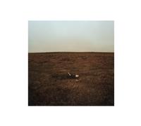 Fink The City Is Coming to Erase It All (CD) Album (US IMPORT)