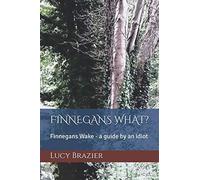 Finnegans What?: Finnegans Wake - A guide by an idiot