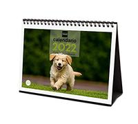 Finocam - Calendar 2022 S - 210 x 150 mm Desktop Images for Writing Puppies Spanish