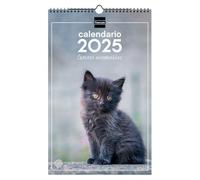 Finocam - Calendar Pictures of Spiral Wall to Write 2025 Month View January 2025 - December 2025 (12 months)