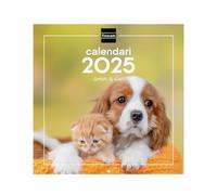 Finocam - Calendar Wall Pictures 30x30 to Write 2025 Month View January 2025 - December 2025 (12 months) Dogs and Cats Catalan
