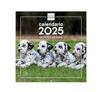 Finocam - Calendar Wall Pictures 30x30 to Write 2025 Month View January 2025 - December 2025 (12 months) Puppies Spanish