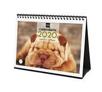 Finocam - Desktop Calendar 2020 Images Puppies Spanish