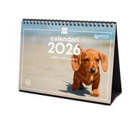 Finocam - Desktop Calendar 2026 Month View January - December 2026 + Sep.- Dec. 2025 (4 months) reduced | Calendar 2026 | Cubs Images - Catalan