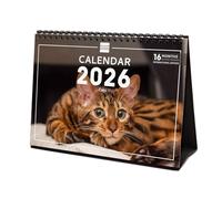 Finocam - Desktop Calendar 2026 Month View January - December 2026 + Sep.- Dec. 2025 (4 months) reduced | Calendar 2026 | Cats Images - International