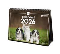 Finocam - Desktop Calendar 2026 Month View January - December 2026 + Sep.- Dec. 2025 (4 months) reduced | Calendar 2026 | Pictures Dogs and cats - Catalan