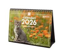 Finocam - Desktop Calendar 2026 Month View January - December 2026 + Sep.- Dec. 2025 (4 months) reduced | Calendar 2026 | Images Kittens - Catalan