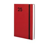 Finocam - Dynamic Mara 2025 Page-A-Day Diary January 2025 - December 2025 (12 Months) Red International