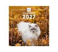 Finocam International Wall Calendar 2027 | Cats Images - Monthly calendar - Planning and Organisation