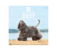 Finocam International Wall Calendar 2027 | Dogs Images - Monthly calendar - Planning and Organisation