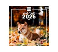 Finocam - Wall Calendar 2026 18x18 cm Month View January - December 2026 + Sep.- Dec. 2025 (4 months) reduced | Calendar 2026 | Dogs Images - International