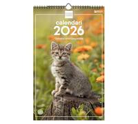 Finocam - Wall Calendar 2026 25x40 cm Month View January - December 2026 + Sep.- Dec. 2025 (4 months) reduced | Calendar 2026 | Images Kittens - Catalan