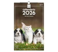 Finocam - Wall Calendar 2026 25x40 cm Month View January - December 2026 + Sep.- Dec. 2025 (4 months) reduced | Calendar 2026 | Pictures Dogs and cats - English