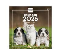Finocam - Wall Calendar 2026 30x30 cm Month View January - December 2026 + Sep.- Dec. 2025 (4 months) reduced | Calendar 2026 | Pictures Dogs and cats - Catalan