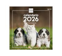 Finocam - Wall Calendar 2026 30x30 cm Month View January - December 2026 + Sep.- Dec. 2025 (4 months) reduced | Calendar 2026 | Pictures Dogs and cats - English