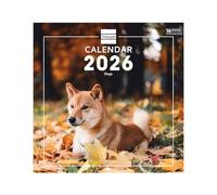 Finocam - Wall Calendar 2026 30x30 cm Month View January - December 2026 + Sep.- Dec. 2025 (4 months) reduced | Calendar 2026 | Dogs Images - International
