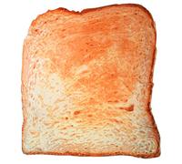 Fiodrimy Bread Blanket - Toast Throw for Adults and Kids, Realistic Soft Flannel Tortilla Wrap (Bread)