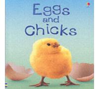Fiona Patchett Eggs & Chicks Hardback Book Fiona Patchett Multicolor