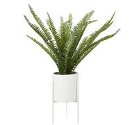 Fiori Faux Fern in White Cement Effect Pot with Iron Stand, Mid-Century Indoor Plant Decoration Premier Housewares White One Size