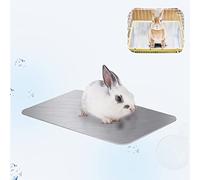 FIPASEN Rabbit Cooling Pad, 11.8x7.9 IN Hamster Cooling Mat Pet Cool Plate for Rabbit Bunny Hamster Guinea Pig & Other Small Pets Stay Cool This Summer - Bite Resistance Pet Cooling Pad Ice Bed