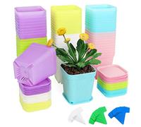 Fippy 60 Pieces Small Plastic Plant Pot 7cm, Square Plant Nursery Pots with Trays, Plant Seedling Pot, Plastic Colorful Flower Pot for Garden Office and Balcony Decor, Multi-Color