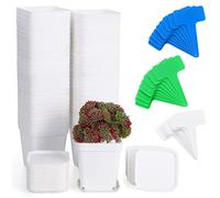 Fippy 60 Pieces Small Plastic Plant Pot 7cm, Square Plant Nursery Pots with Trays, Plant Seedling Pot, White Plastic Flower Pot for Garden Office and Balcony Decor, White
