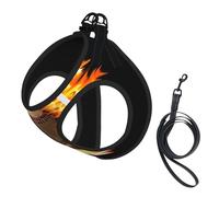 Fire Baseball print Dog Harness, 2X Buckle,Dog Vest,No Pulling Front Leash Clip,for Small Medium Dogs