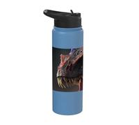 Fire-Breathing Giant the Fearsome Dinosaur Stainless Steel Insulated Water Bottle