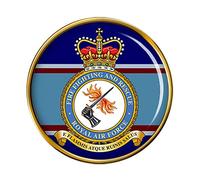 Fire Fighting and Rescue Service, RAF Pin Badge
