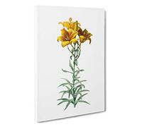 Fire Lily Flowers by Pierre-Joseph Redoute Canvas Print | Gallery Wrapped 30mm Frame Wall Art | 30x20 inches | Ready to Hang | Modern Floral Picture | Living Room Bedroom Lounge Office