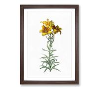 Fire Lily Flowers by Pierre-Joseph Redoute Framed Print | A2 Walnut Framed Wall Art | Ready to Hang | Modern Floral Picture | Living Room Bedroom Lounge Office