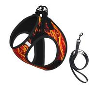Fire Nude Woman Flame print Dog Harness, 2X Buckle,Dog Vest,No Pulling Front Leash Clip,for Small Medium Dogs