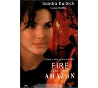 Fire on the Amazon